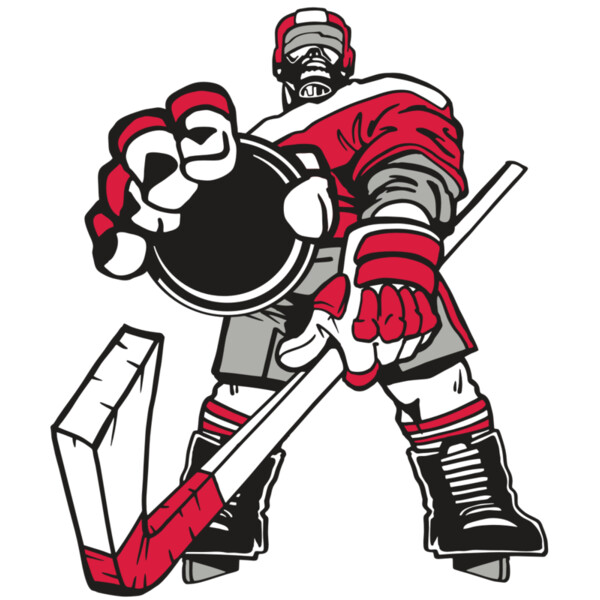 AR3 HOCKEY 08 RQC Miniaturansicht