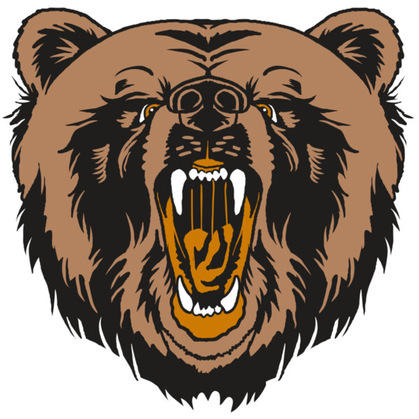 AR31 BEAR 01 RQC Miniaturansicht