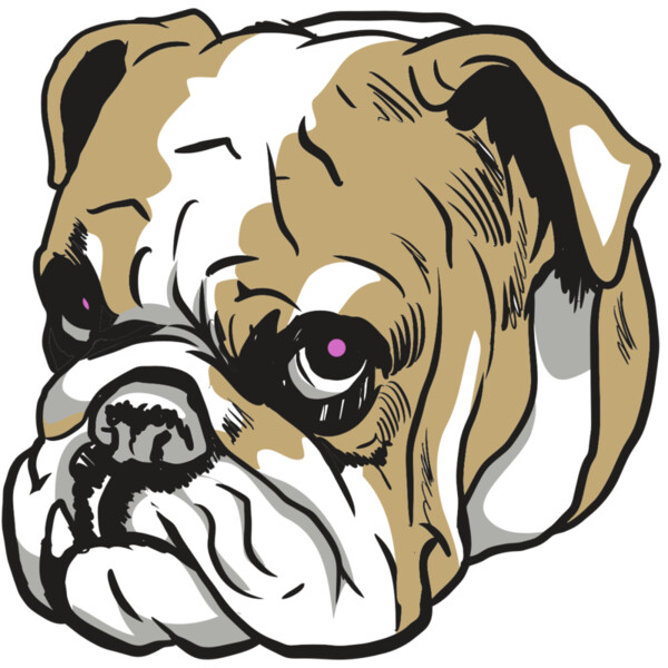 AR10 BDOG 01 C Miniaturansicht