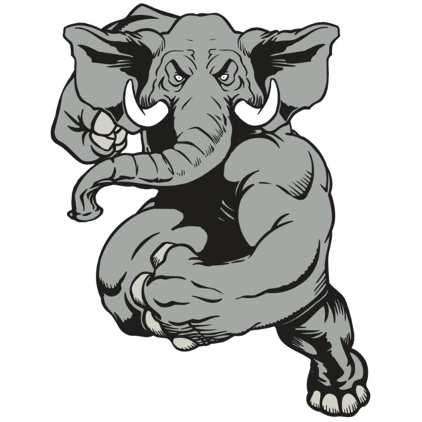 AR ELEPH 18 RC Miniaturansicht