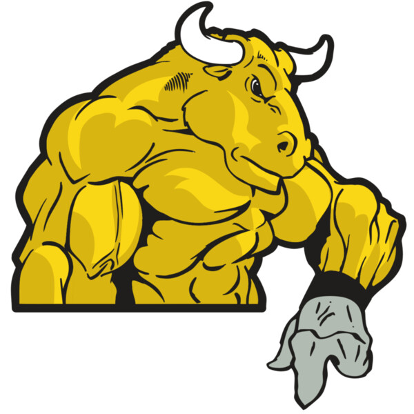 AR BULL 13 RC Miniaturansicht