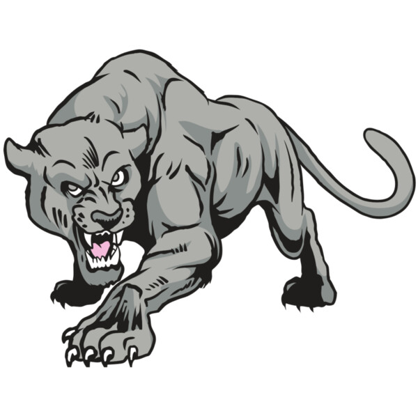 AR31 COUGAR 01 RQC Miniaturansicht