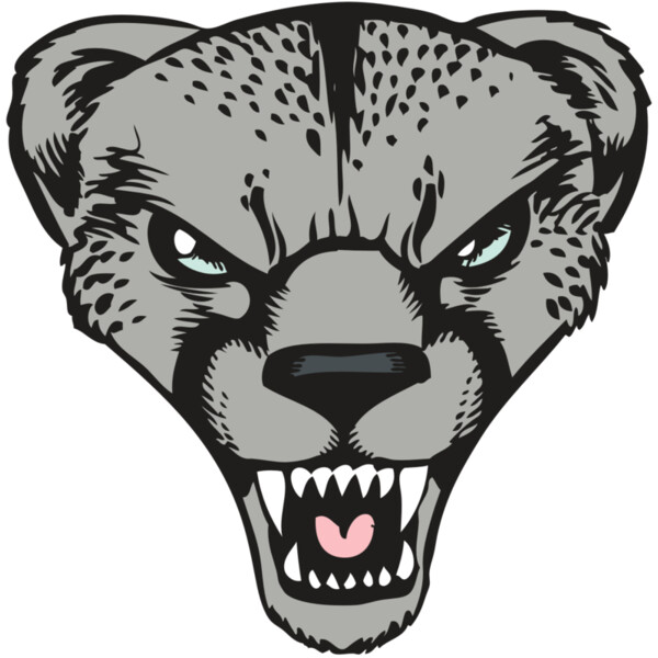 BAW CHEETAH 15 RC Miniaturansicht