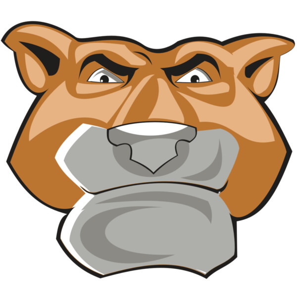 COUGAR HD0502 RQC Miniaturansicht