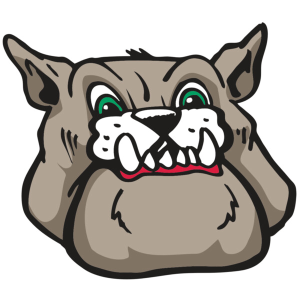 AR BDOG 27 RC Miniaturansicht