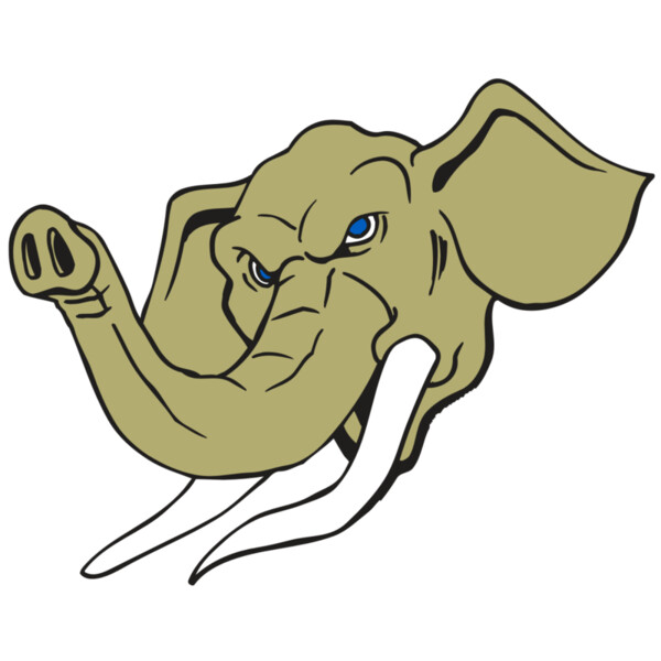 AR ELEPH 17 RC Miniaturansicht