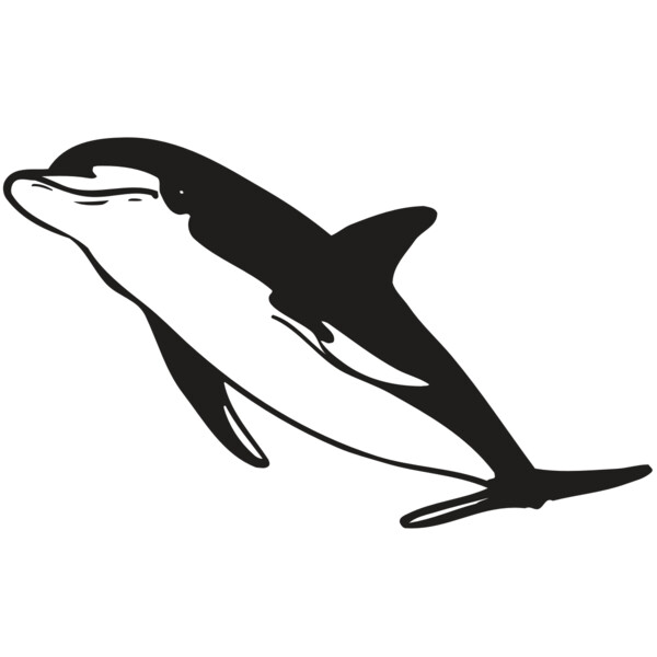 AR DOLPIN 13 RC Miniaturansicht