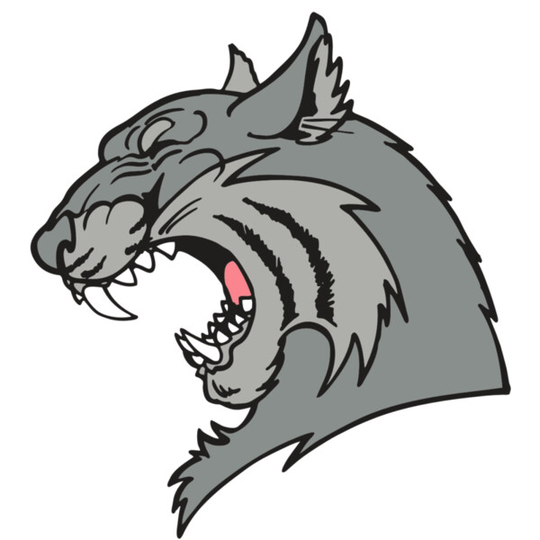 AR WILDCAT 41 RC Miniaturansicht