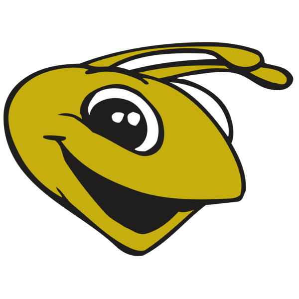 AR BEE 31 RC Miniaturansicht