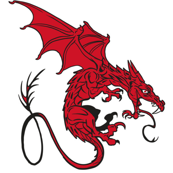 AR24 DRAGON 01 RQC Miniaturansicht