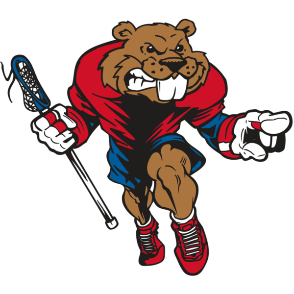 AR8 BEAVER 03 RQC Miniaturansicht