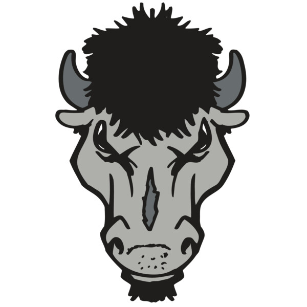 AR BUFFALO 15 RC Miniaturansicht