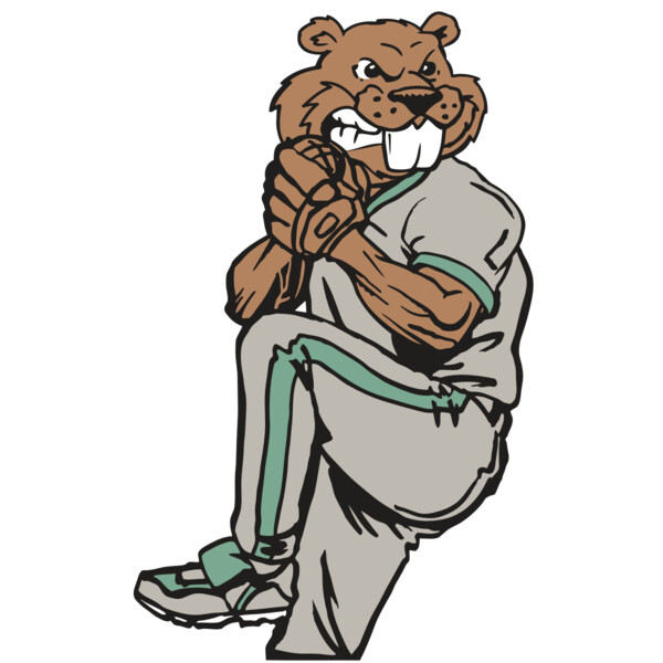 AR5 BASE BEAVER 01 RQC Miniaturansicht