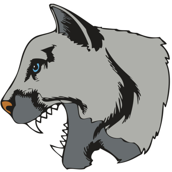 BAW COUG PANTH 15 R Miniaturansicht