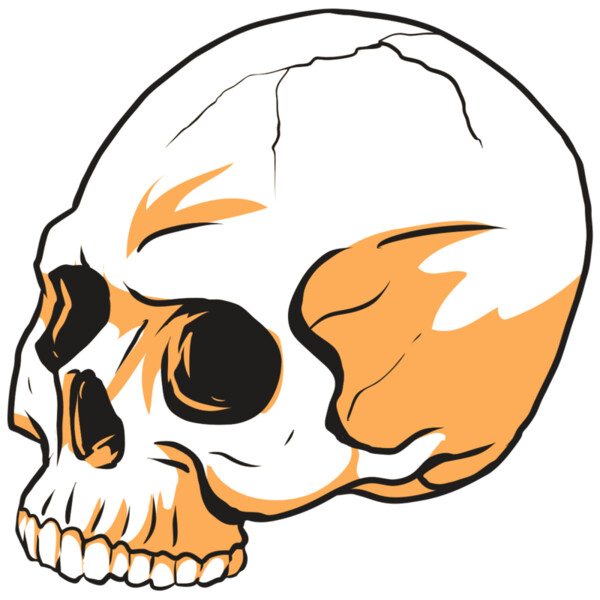 AR24 SKULL 13 RQC Miniaturansicht