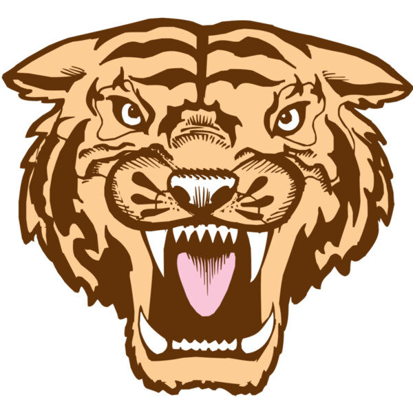 BAW TIGER 05 RC Miniaturansicht