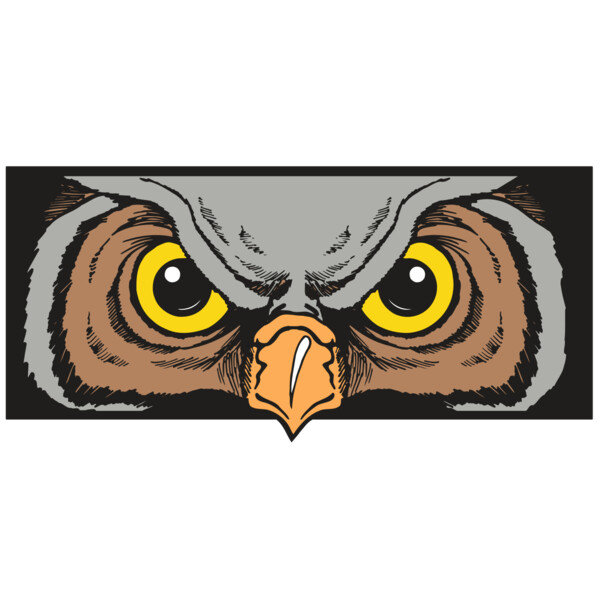 AR5 Owl 13 RQC Miniaturansicht