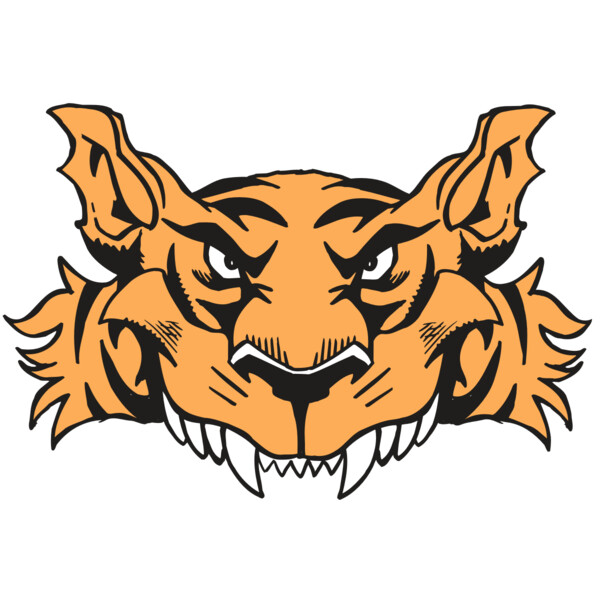 AR5 Tiger 07 RQC Miniaturansicht