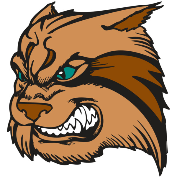 BAW WILDCAT 05 RC Miniaturansicht