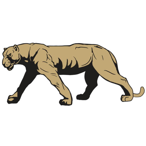 AR10 PANTHER 04 RQC Miniaturansicht