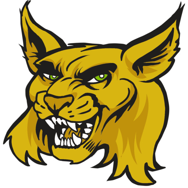 AR30 WILDCAT 03 RQC Miniaturansicht