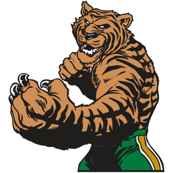 AR TIGER 64 RC Miniaturansicht