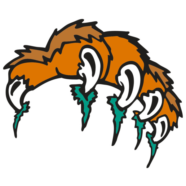 AR2 TIGER 03 RQC Miniaturansicht