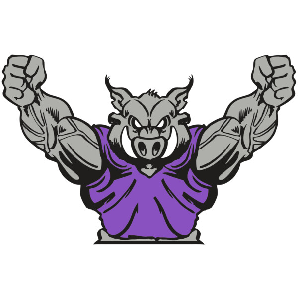 AR RAZORBACK 10 RC Miniaturansicht