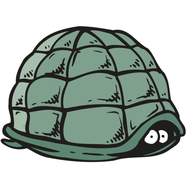 AR5 Turtle 10 RQC Miniaturansicht