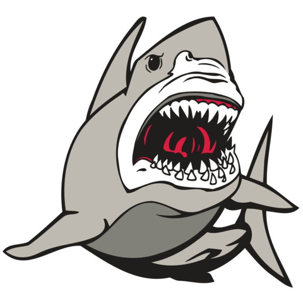 AR5 Shark 07 RQC Miniaturansicht