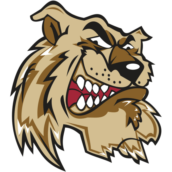 WILDCAT HD0502 RQC Miniaturansicht