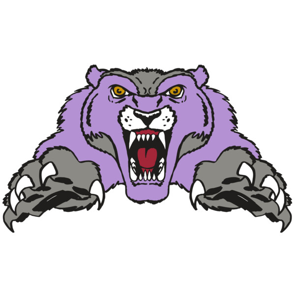 AR WOLVERINE 17 RC Miniaturansicht