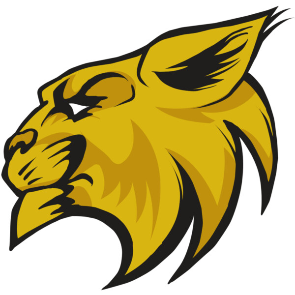 AR30 WILDCAT 02 RQC Miniaturansicht