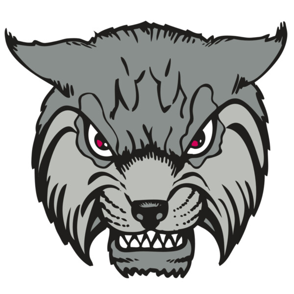 BAW BOBCAT 02 RC Miniaturansicht