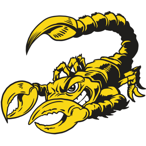 AR19 SCORP 01 RQC Miniaturansicht