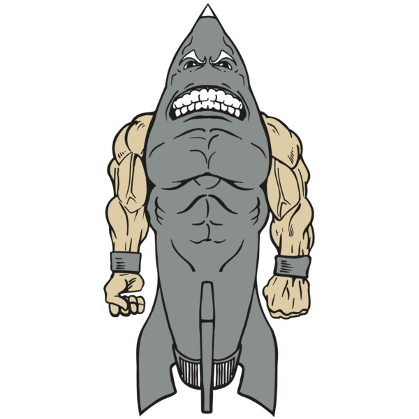 AR ROCKET 23 RC Miniaturansicht