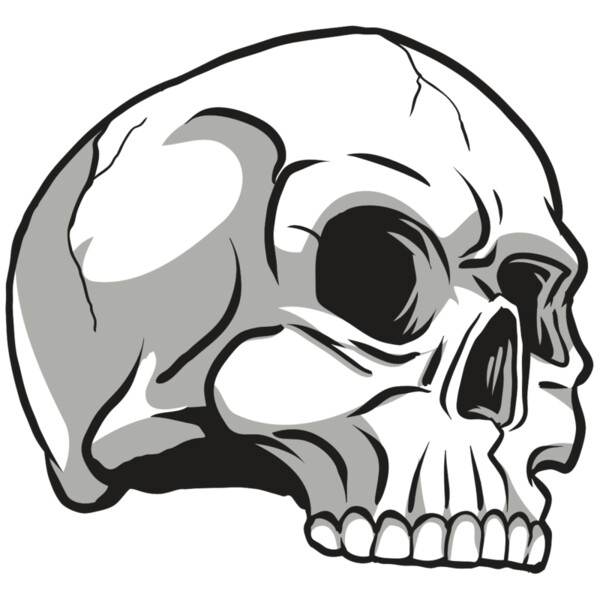 AR24 SKULL 10 RQC Miniaturansicht