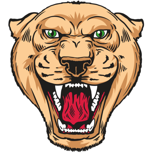 AR13 PNTHR 01 RQC Miniaturansicht