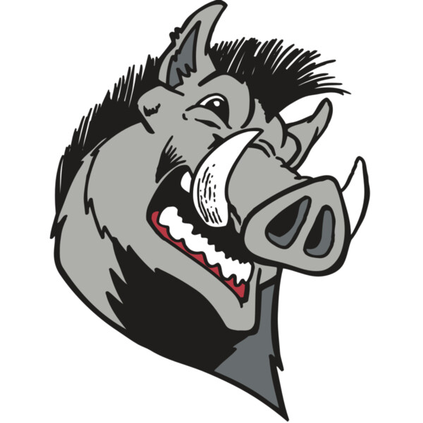 AR RAZORBACK 15 RC Miniaturansicht