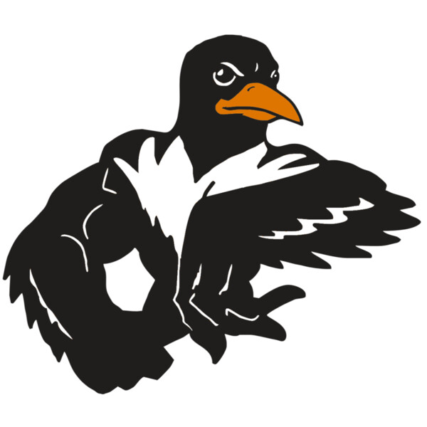 AR ORIOLE 22 RC Miniaturansicht