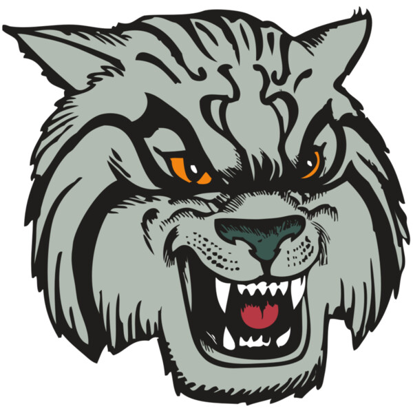 BAW WILDCAT 03 RC Miniaturansicht