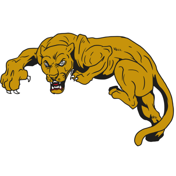 AR10 PANTHER 02 RQC Miniaturansicht