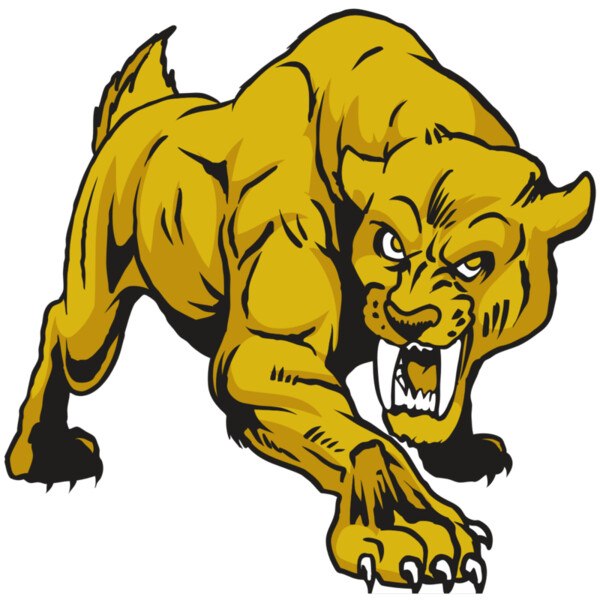 AR30 SABER 01 RQC Miniaturansicht