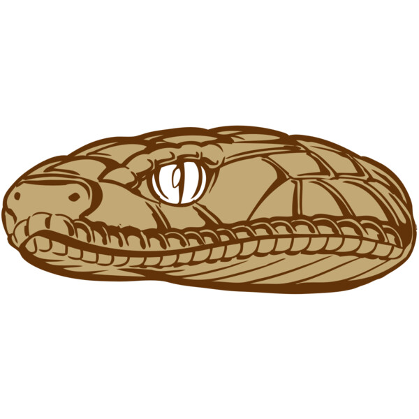 BAW SNAKE 12 RC Miniaturansicht