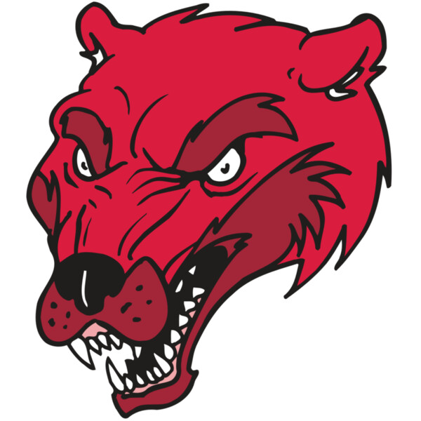 AR5 Wolverine 12 RQC Miniaturansicht