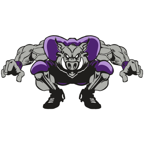 AR RAZORBACK 28 RC Miniaturansicht