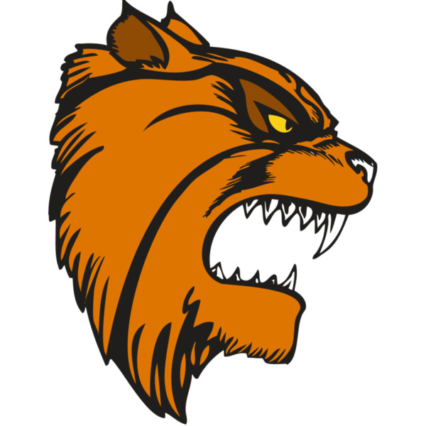 BAW WILDCAT 08 RC Miniaturansicht