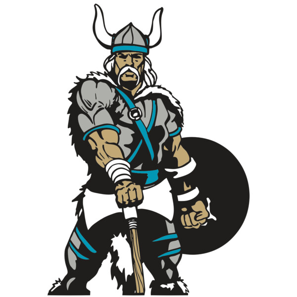 AR VIKING 41 RC Miniaturansicht