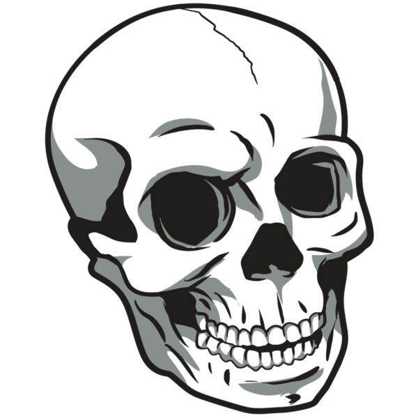 AR24 SKULL 14 RQC Miniaturansicht