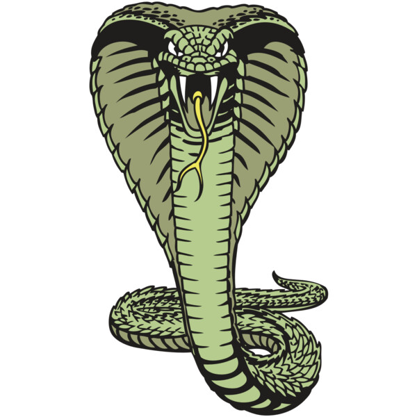 BAW SNAKE 15 RC Miniaturansicht